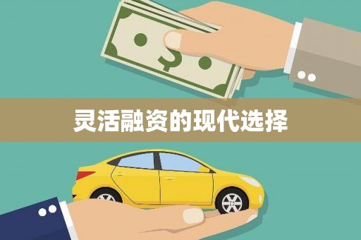 吴川灵活融资的现代选择
