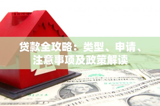 吴川贷款全攻略：类型、申请、注意事项及政策解读