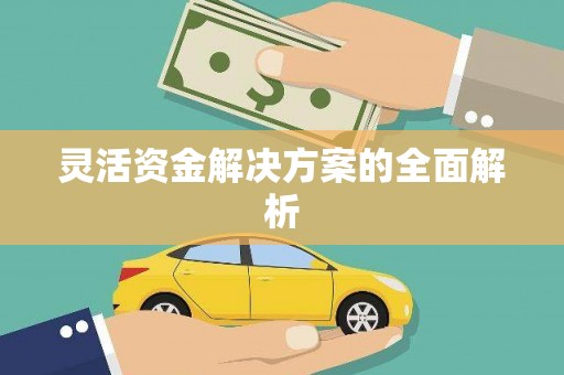 吴川灵活资金解决方案的全面解析