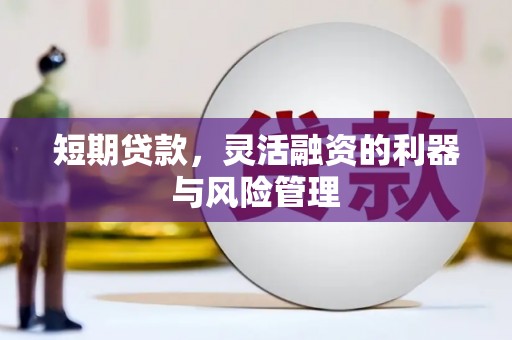 吴川短期贷款，灵活融资的利器与风险管理