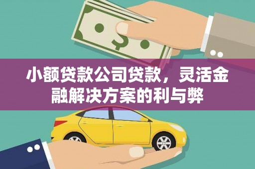 吴川小额贷款公司贷款，灵活金融解决方案的利与弊