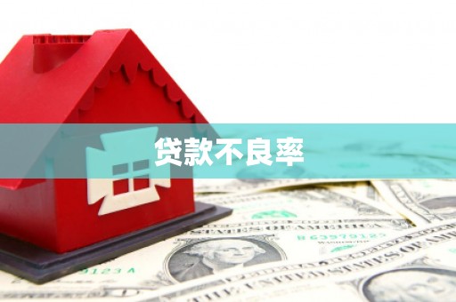 吴川贷款不良率
